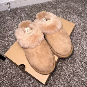 UGG W CLASSIC SLIPPER SIZE 7 in CHE COLOR